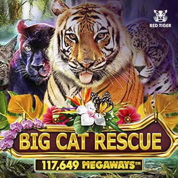 Big Cat Rescue Megaways - MEGABET808