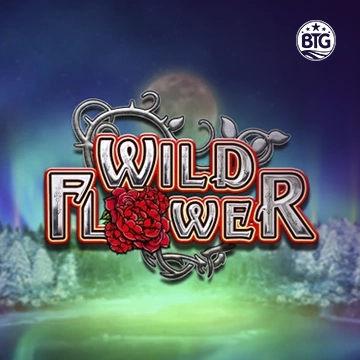 Wild Flower - MEGABET808